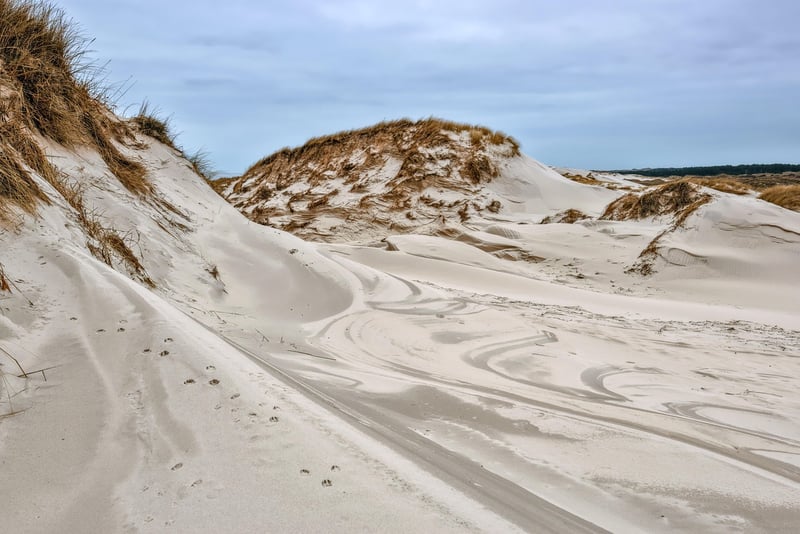 Desert Sand Dunes